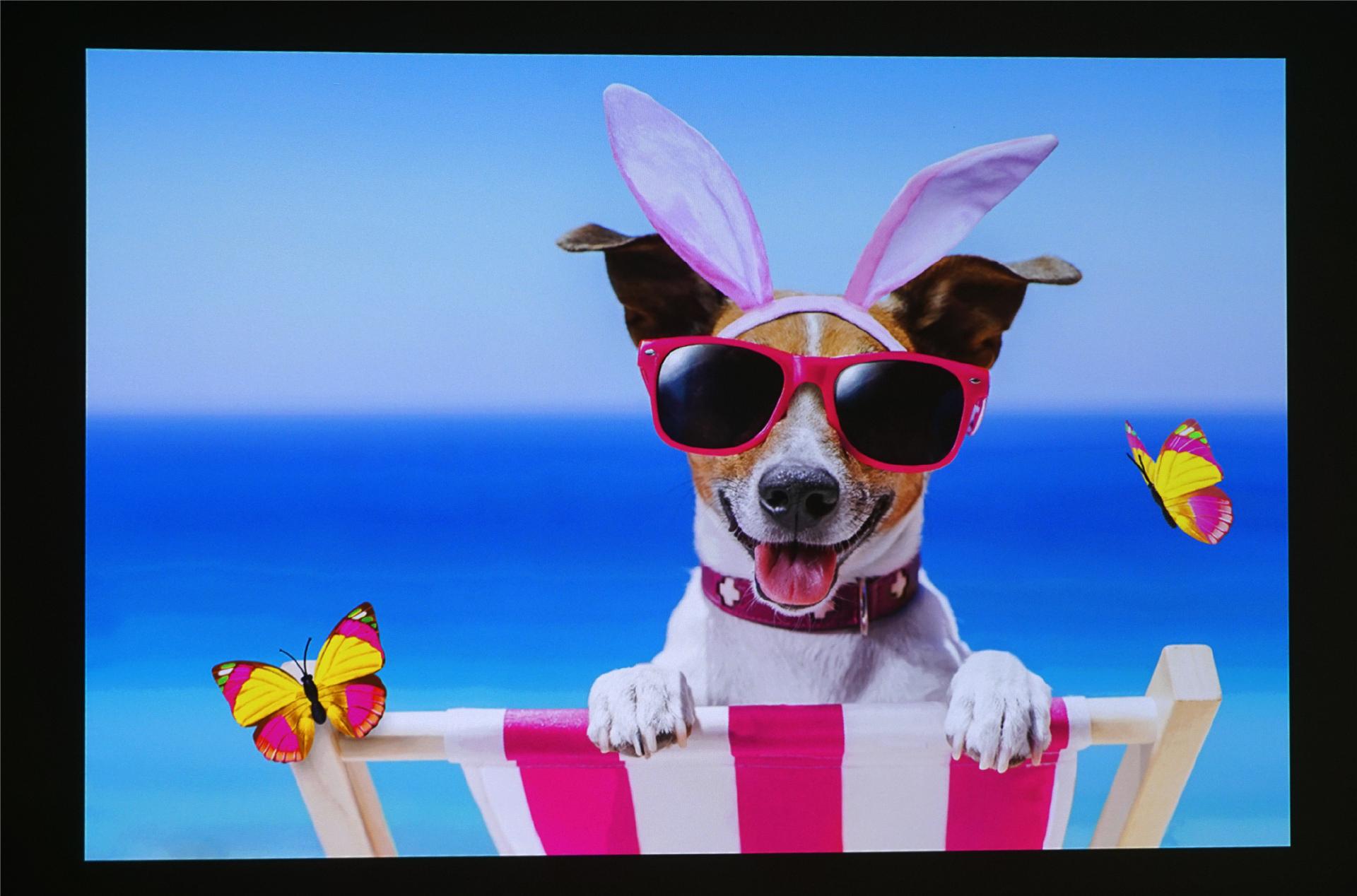 aoc激光投影仪k1s评测,aock1s投影仪缺点