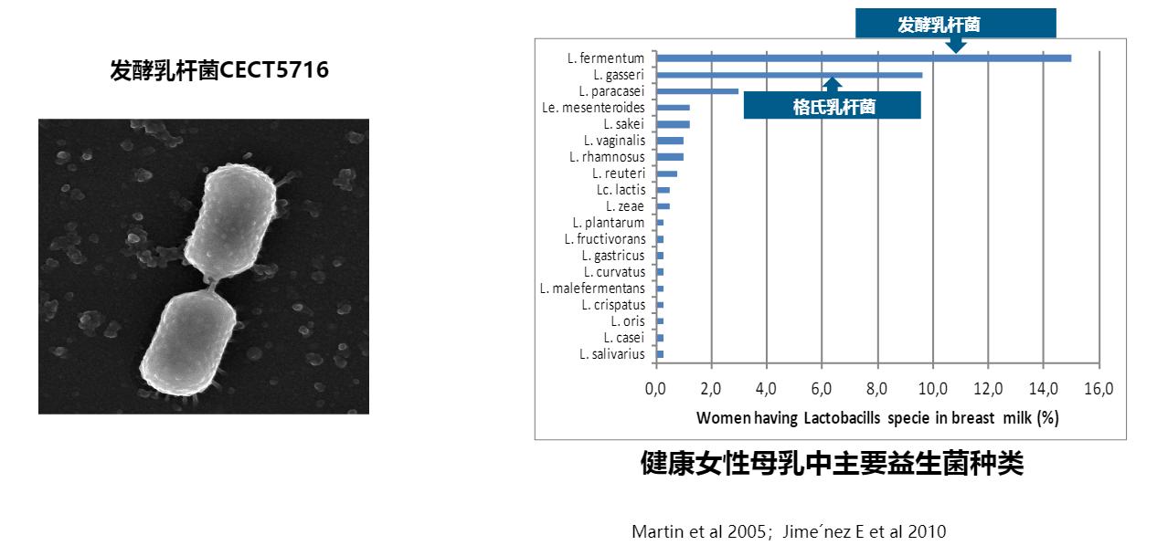 窝小芽米粉婴儿辅食,从母乳过渡奶粉