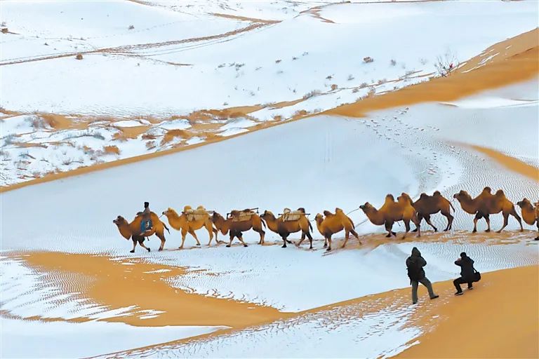 提升幸福指数tips,提升生活幸福感的小操作