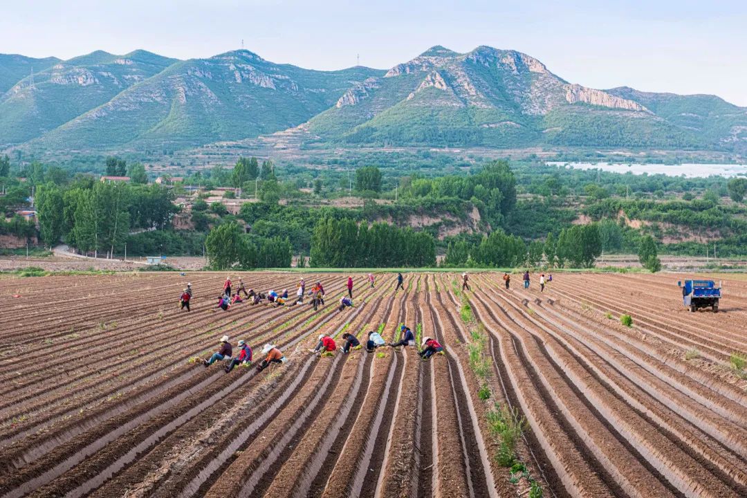 迎接党的20大美术作品,喜迎二十大乡村摄影展