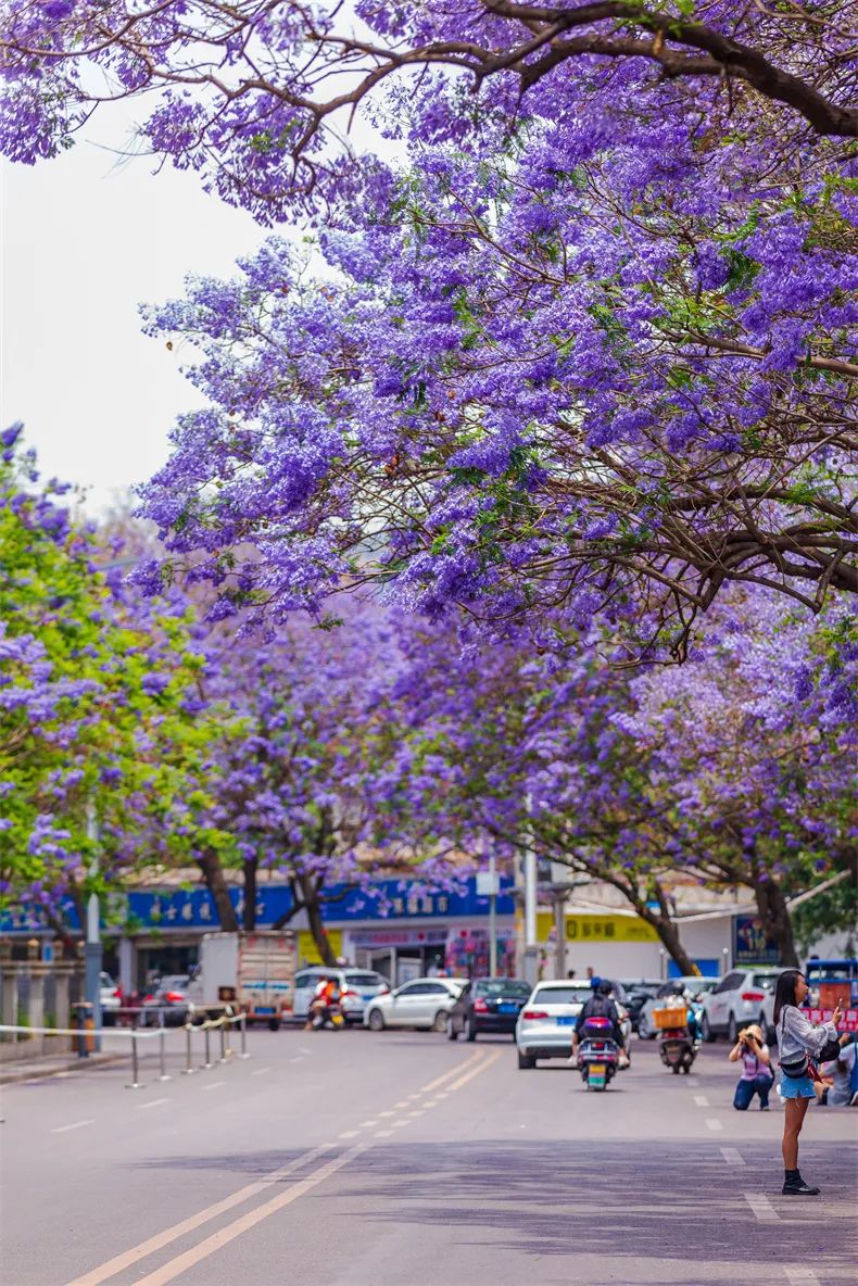 五一安徽自驾不扎堆小众景点,五一不扎堆小众景点西安周边
