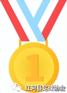 好样的！红河县足球小将荣获ICC“彩云杯”2022年云南省青少年足球邀请赛六年级组冠军