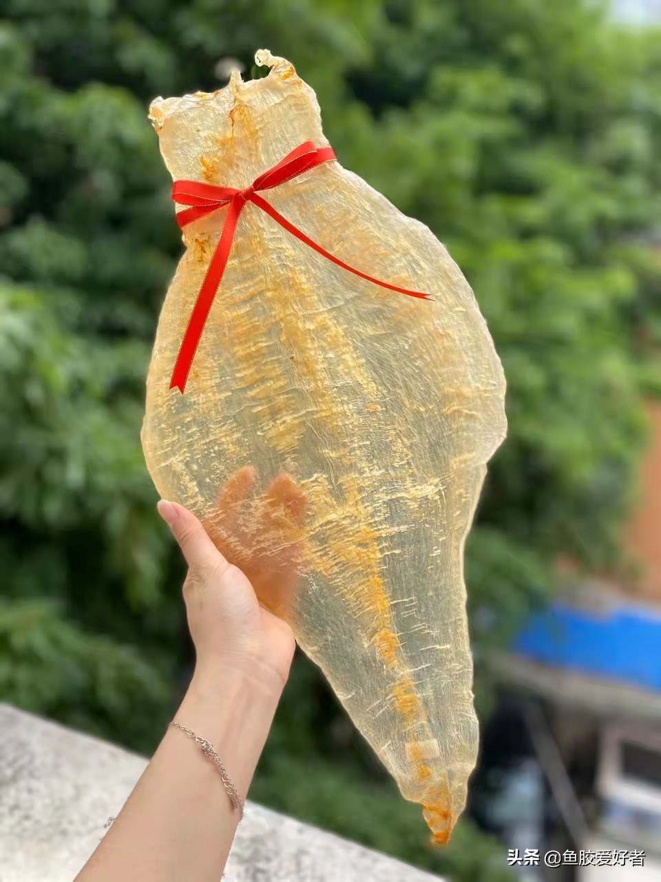 燕窝海参鱼胶滋补礼盒,怎么挑选鱼胶和燕窝