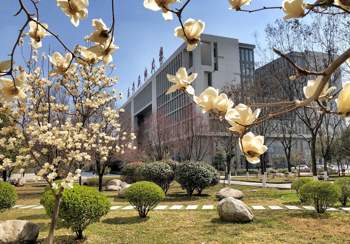 中国十大月收入最高行业排行榜,收入最高的专业top20