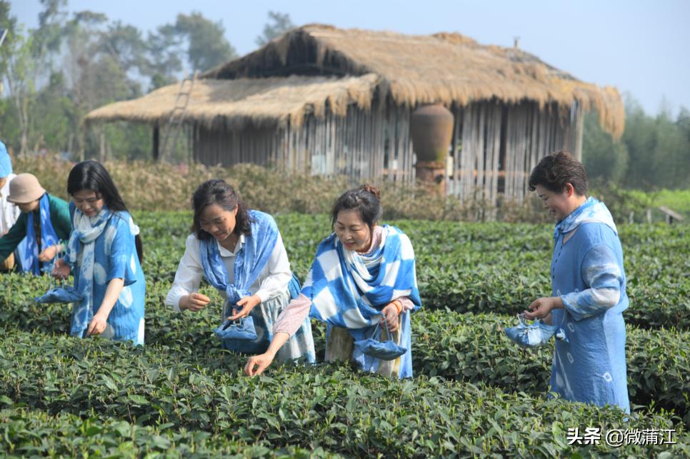【新蒲江人】成都蒲江县乡村规划师邓小玲：扎根基层10年做乡村和规划之间的“桥梁”