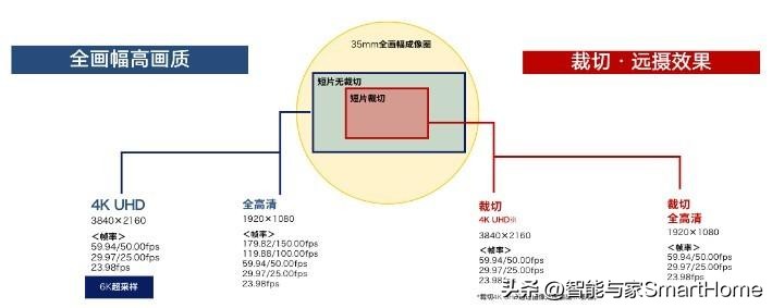 佳能性价比最高的专业全画幅相机,佳能旗舰全画幅相机推荐