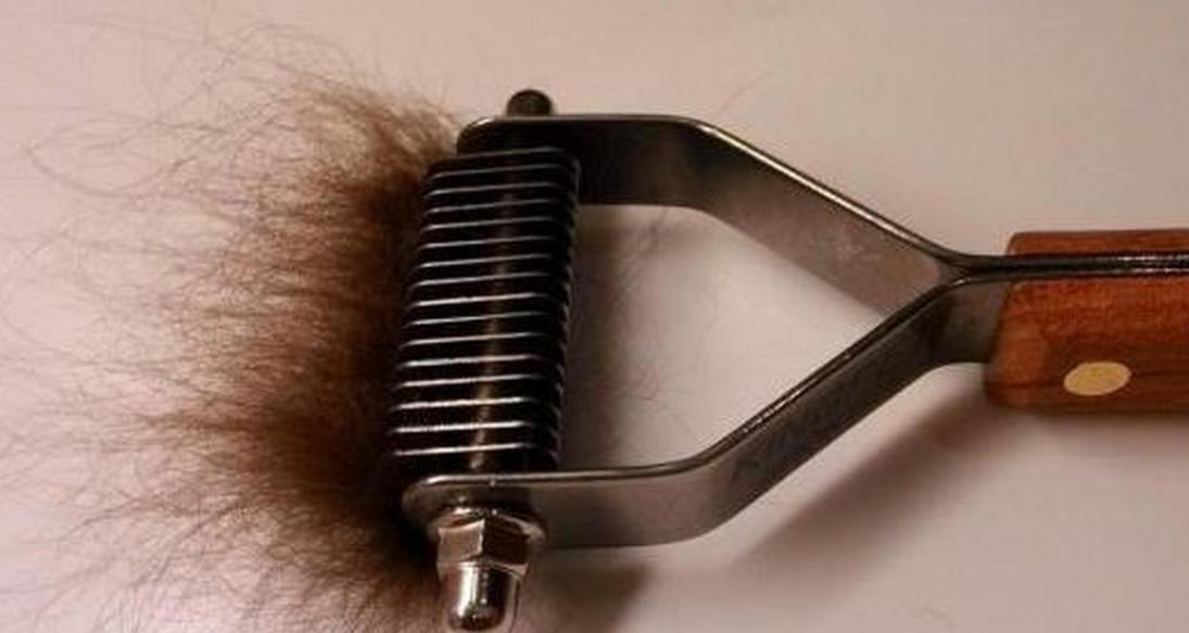 “下面”的毛有什么用,能剔除吗?医生:有2种情况,剔除更好