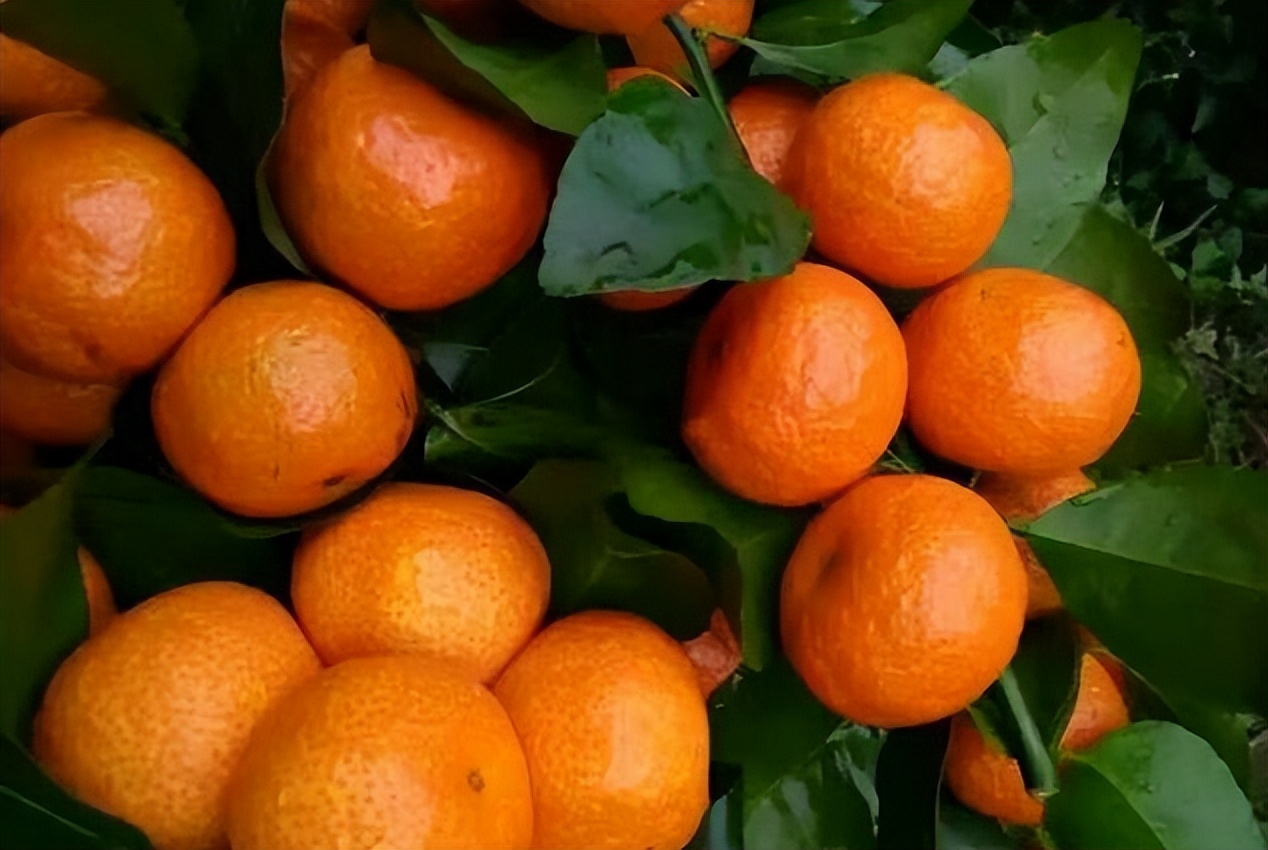 行业不景气怎么办,行业不景气如何创业