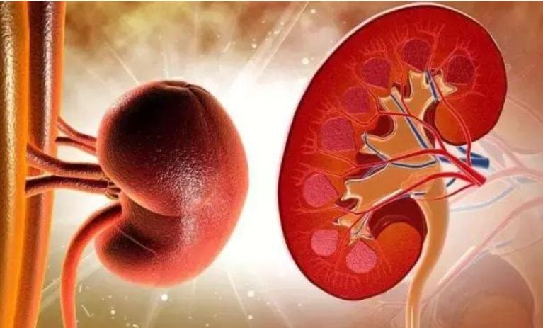 夜里起夜频繁是否肾有问题,经常起夜会不会肾衰竭