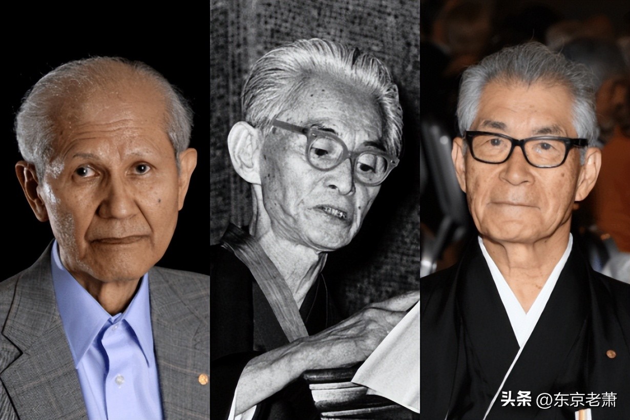 日本高等教育发展历程,日本国民教育解读