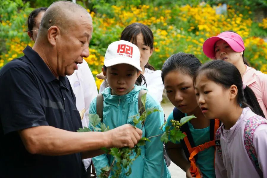 【上级媒体赞佛坪】秦岭“花伴侣”