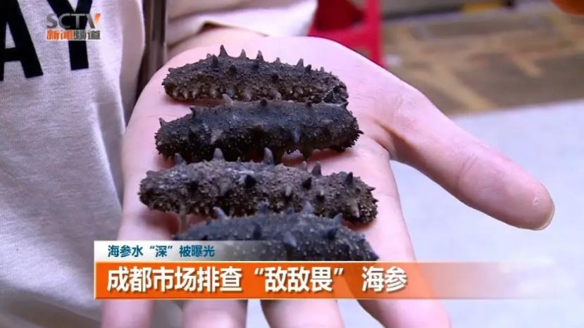 315海参打假哪个品牌,315海参曝光后海参还能吃吗