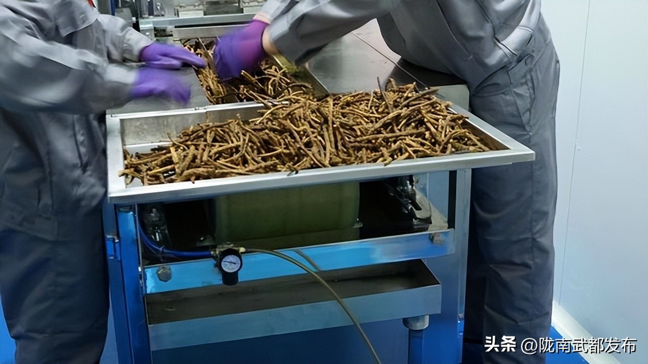 俄罗斯出口中国农产品,俄罗斯中草药进口