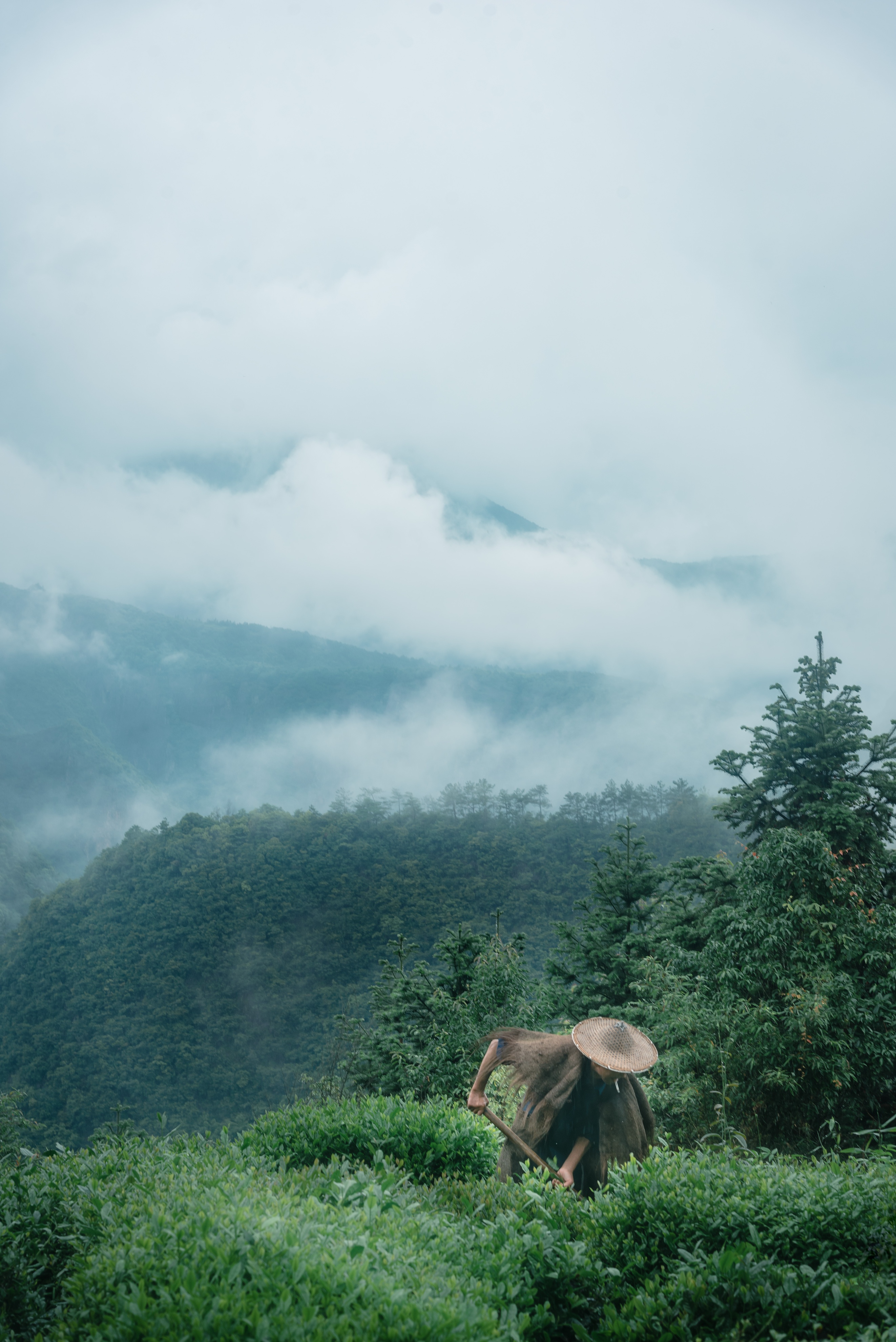 丽水遂昌旅游攻略一天游 (丽水遂昌被称旅游胜地)