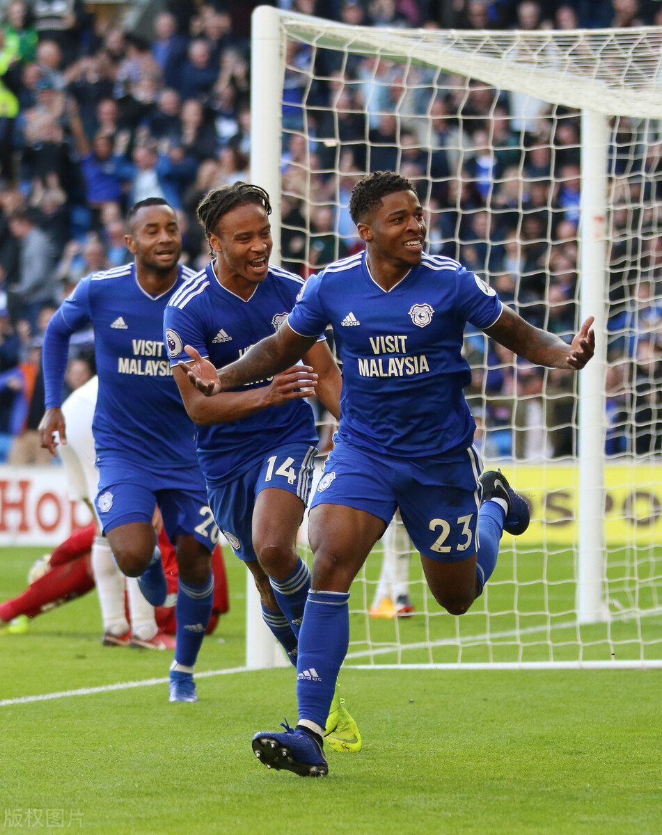 从未降级的五大联赛有哪些,欧洲五大联赛没有降级的球队