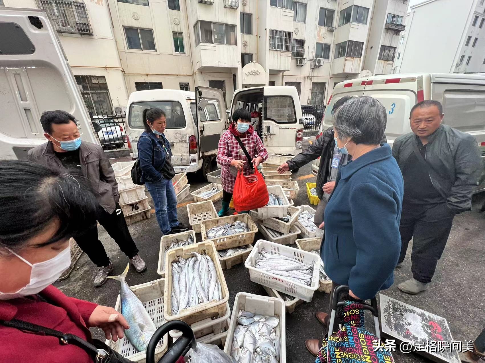 青岛鲳鱼价格,青岛今天鲳鱼价格最新行情