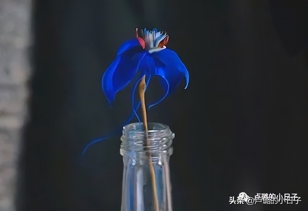 秋瓷炫和宋仲基演的韩国剧,宋仲基秋瓷炫