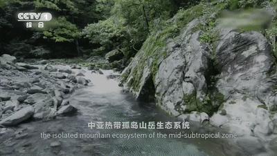 中国的世界文化遗产震撼视频,中国世界文化遗产你打卡过几个