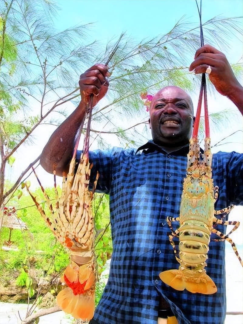 中国人眼中的奢侈品，在非洲却是白菜价，当地人一点也不稀罕