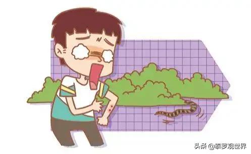 蛇为什么会把蛇打死,打蛇一定要打死不然蛇会来报复你