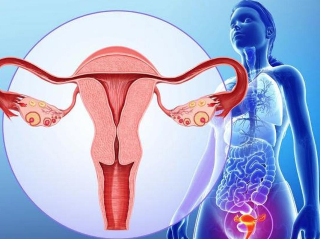 高中体检女生查妇科吗,女生体检子宫项目