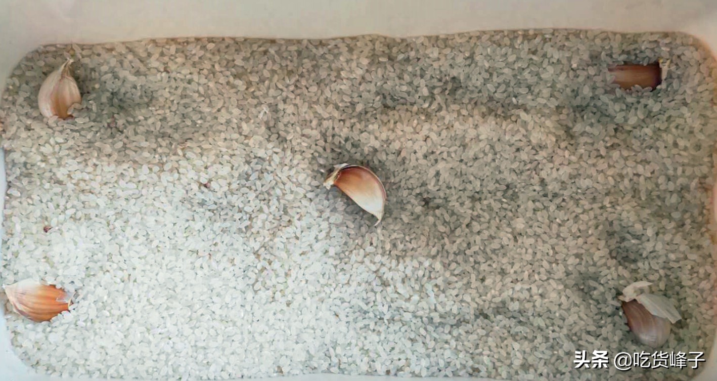 大米生虫了怎么办还能吃吗,大米为啥会出虫子