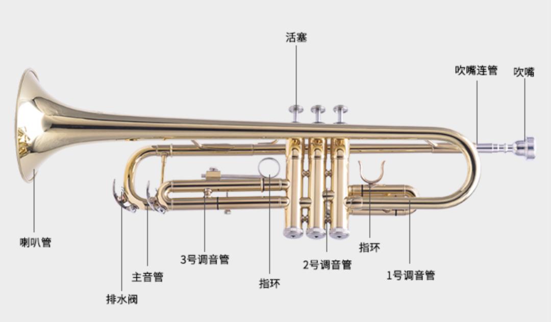 学小号怎么样,孩子学小号