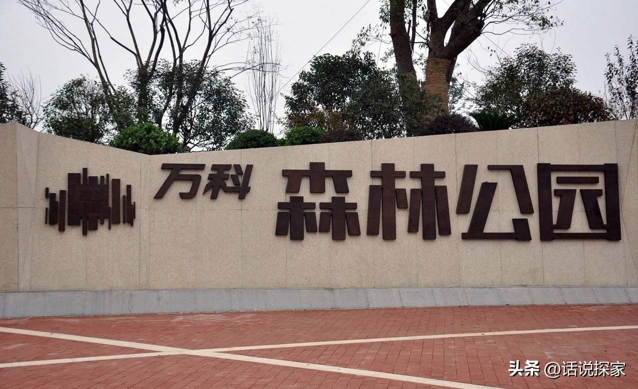 肥东县万科锦上光耀,肥东万科锦上光曜优缺点