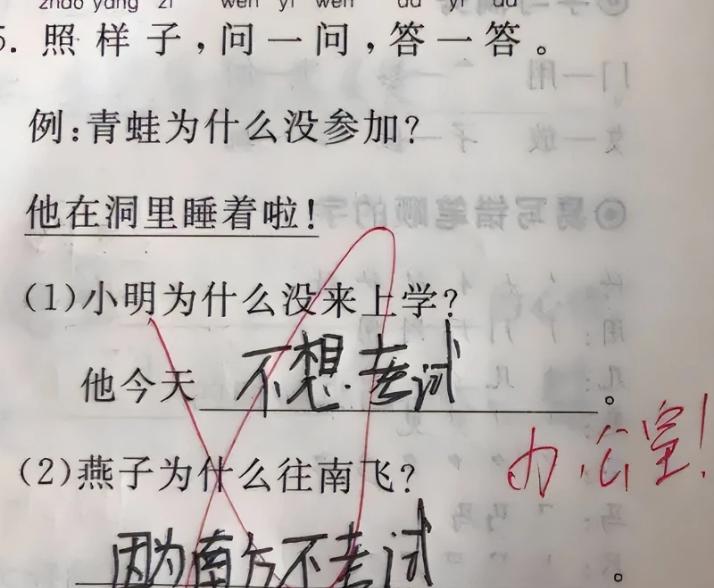 小学生零分试卷网友看了笑喷,一次大胆的尝试500字六年级