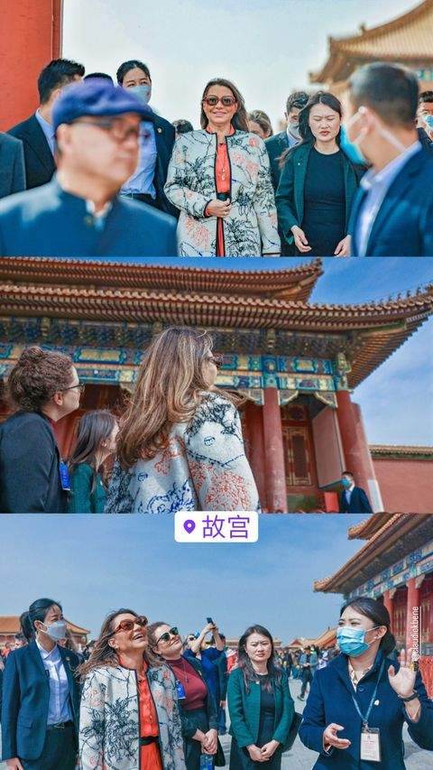 巴西第一夫人写真,巴西第一夫人