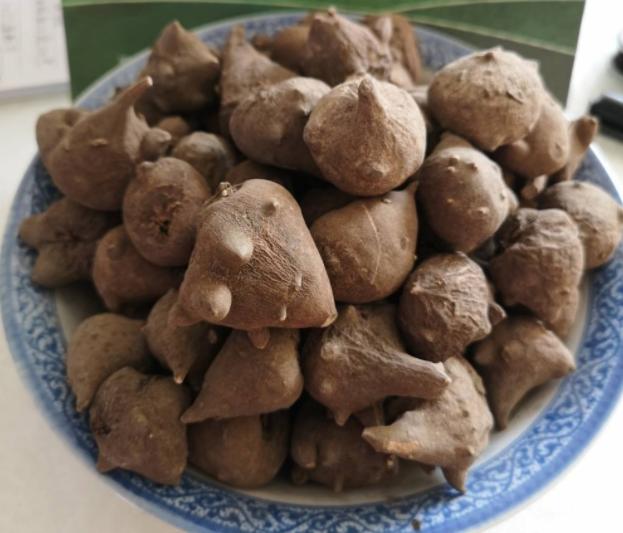 中医如何治疗腰椎间盘突出，主要用这样一张方子