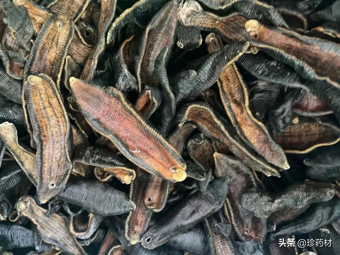 12月1日中药材市场快讯：干姜、金银花、栀子、水蛭、白及等