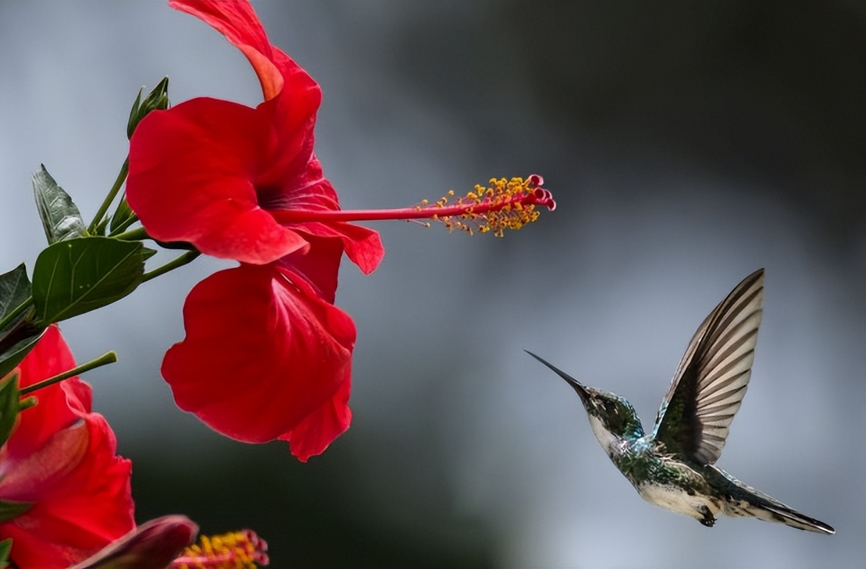 混合型基金靠谱吗,混合型基金有利息吗