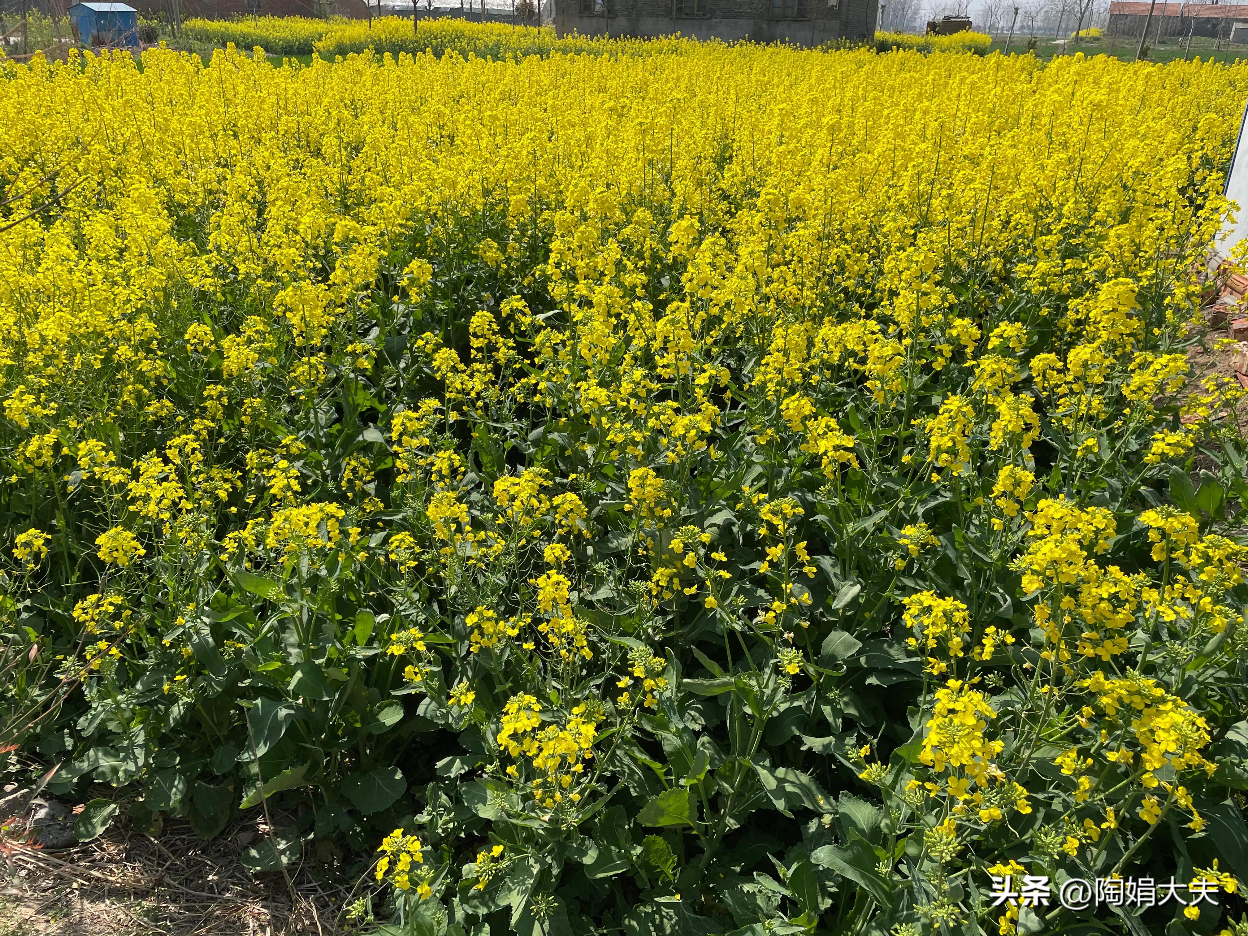 第一次绝经大姨妈不来怎么办,女人绝经后再来大姨妈正常吗