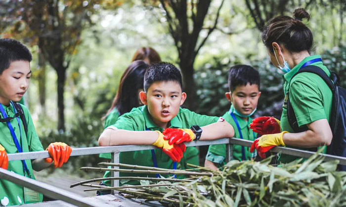 夏令营机构有哪些比较正规,成都夏令营正规机构