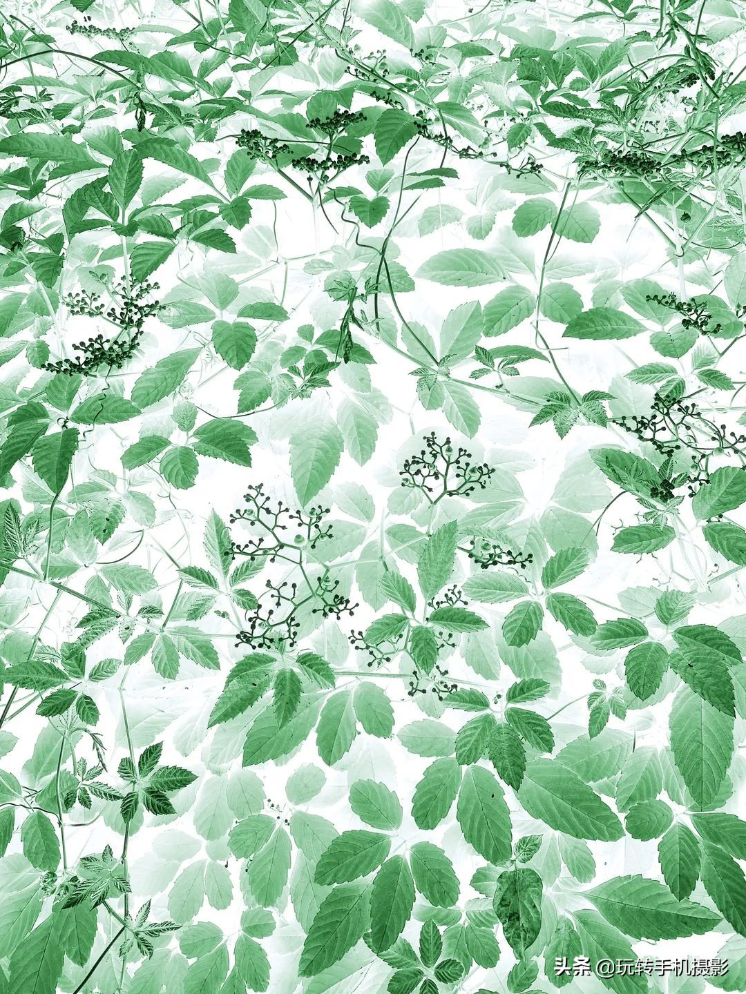 五月给你点“颜色”瞧瞧！照片想出圈，这样拍就对了