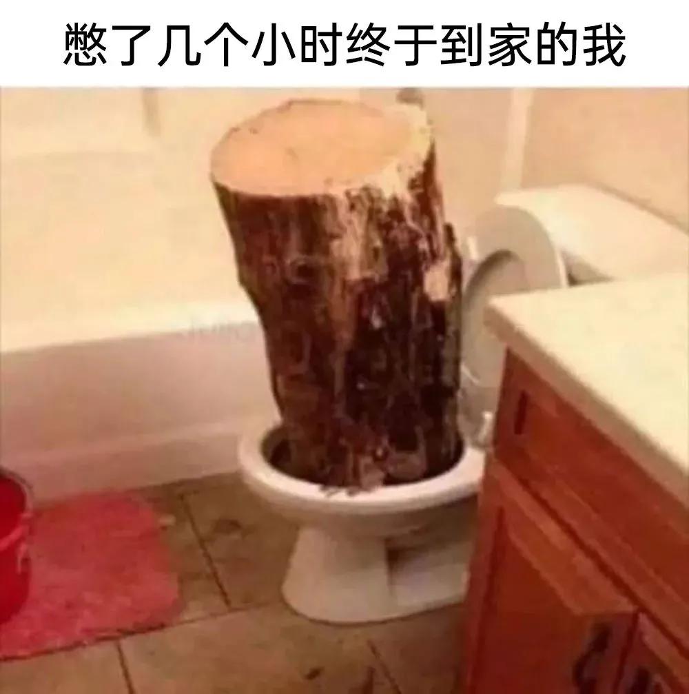 meme搞笑图,月初月末搞笑图片