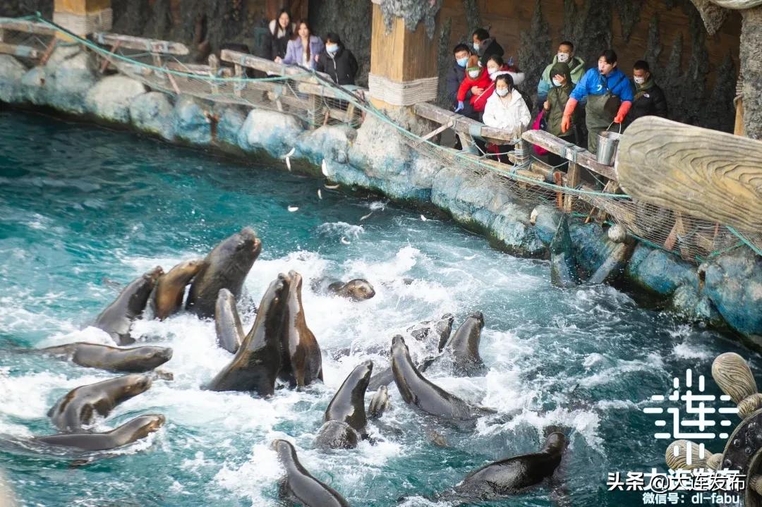 大连旅游景点春节优惠活动,春节期间大连景区的特惠活动