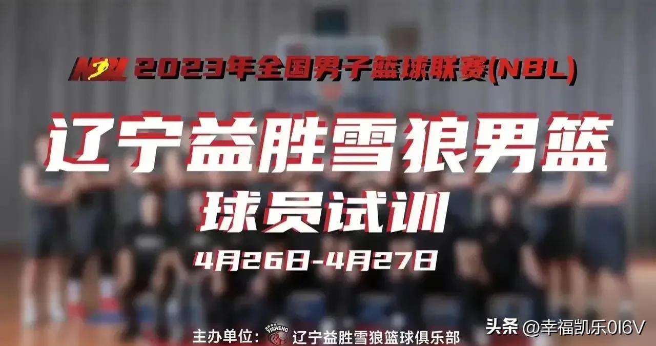 辽篮将迎来腾飞,辽篮又添猛将