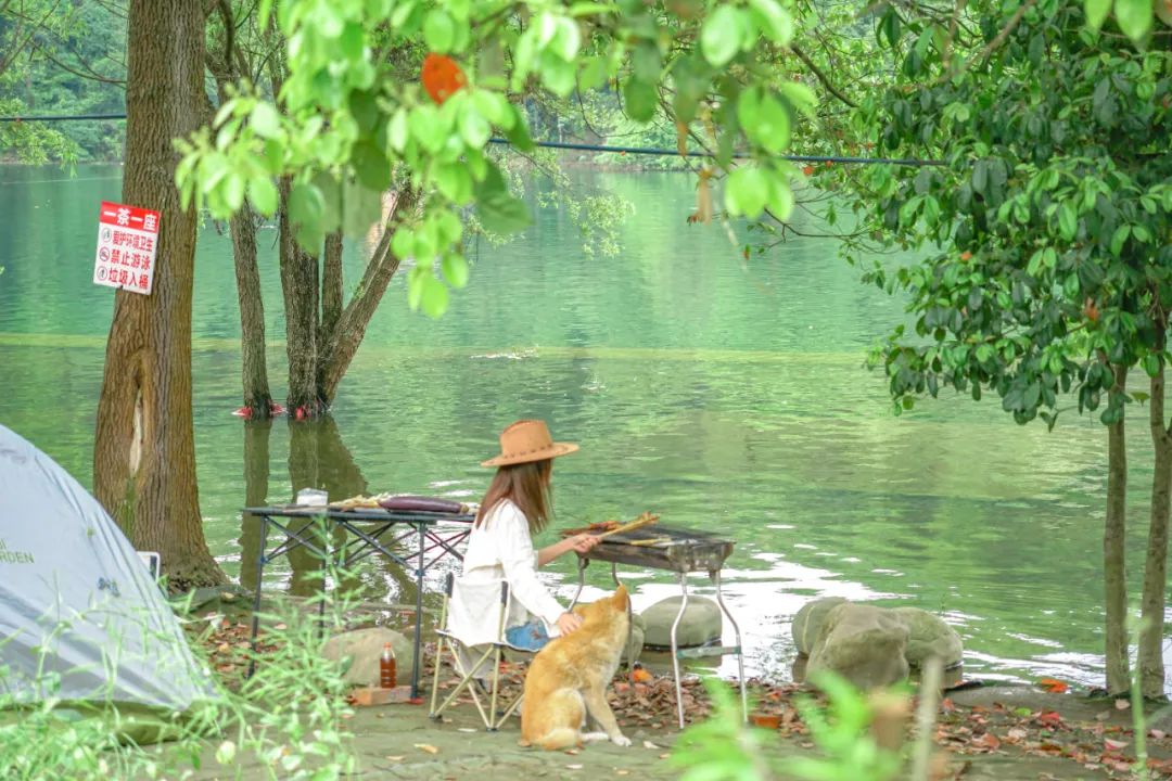 成都免费露营地推荐过夜,成都周边露营地推荐自驾