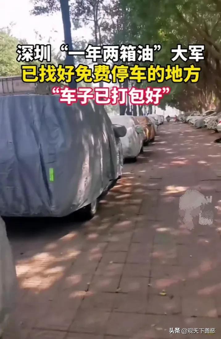 深圳一年两箱油的停车场,深圳加油站可以免费停车吗