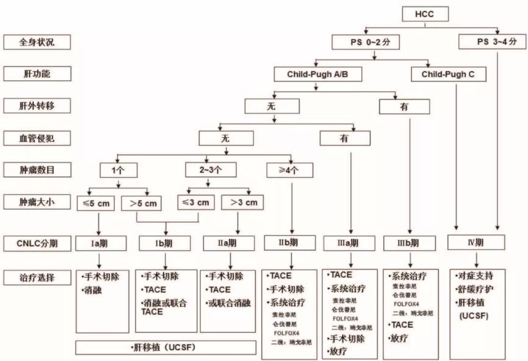 朱旭教授：肝脏介入治疗成为肝脏恶性肿瘤的一种重要治疗手段