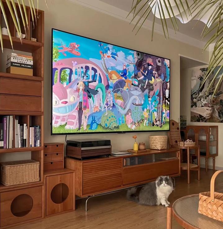 最便宜的真4k电视推荐,哪几款电视最好用