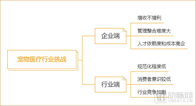 爆火的宠物医疗，没想象中那么好做