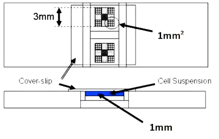 昆明纳瑞丨如何给细胞计数加buff?