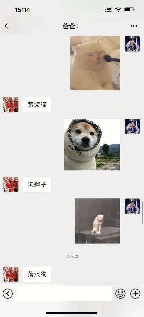 取名鬼才！狗婶子是想把谁笑死啊哈哈哈