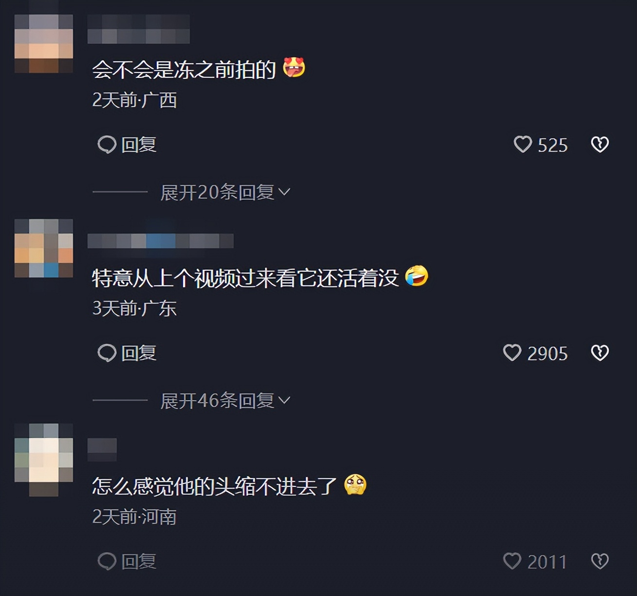 甲鱼冷冻多久可以复活,冰冻的一个月的甲鱼能否复活