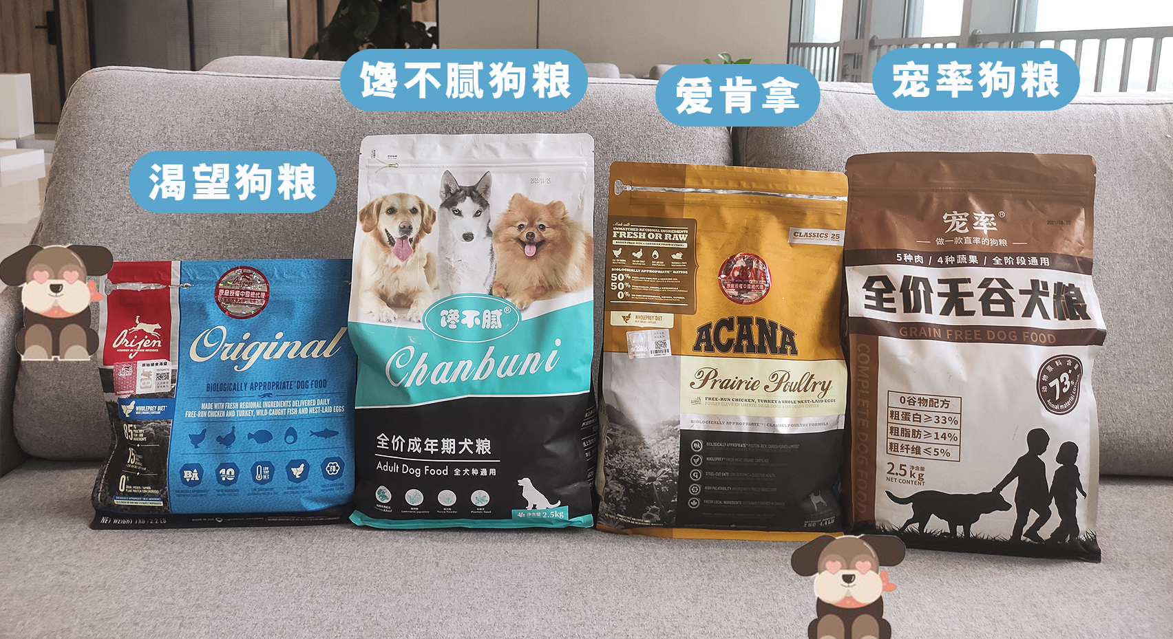 比熊怎么挑狗粮,比熊怎么挑才健康