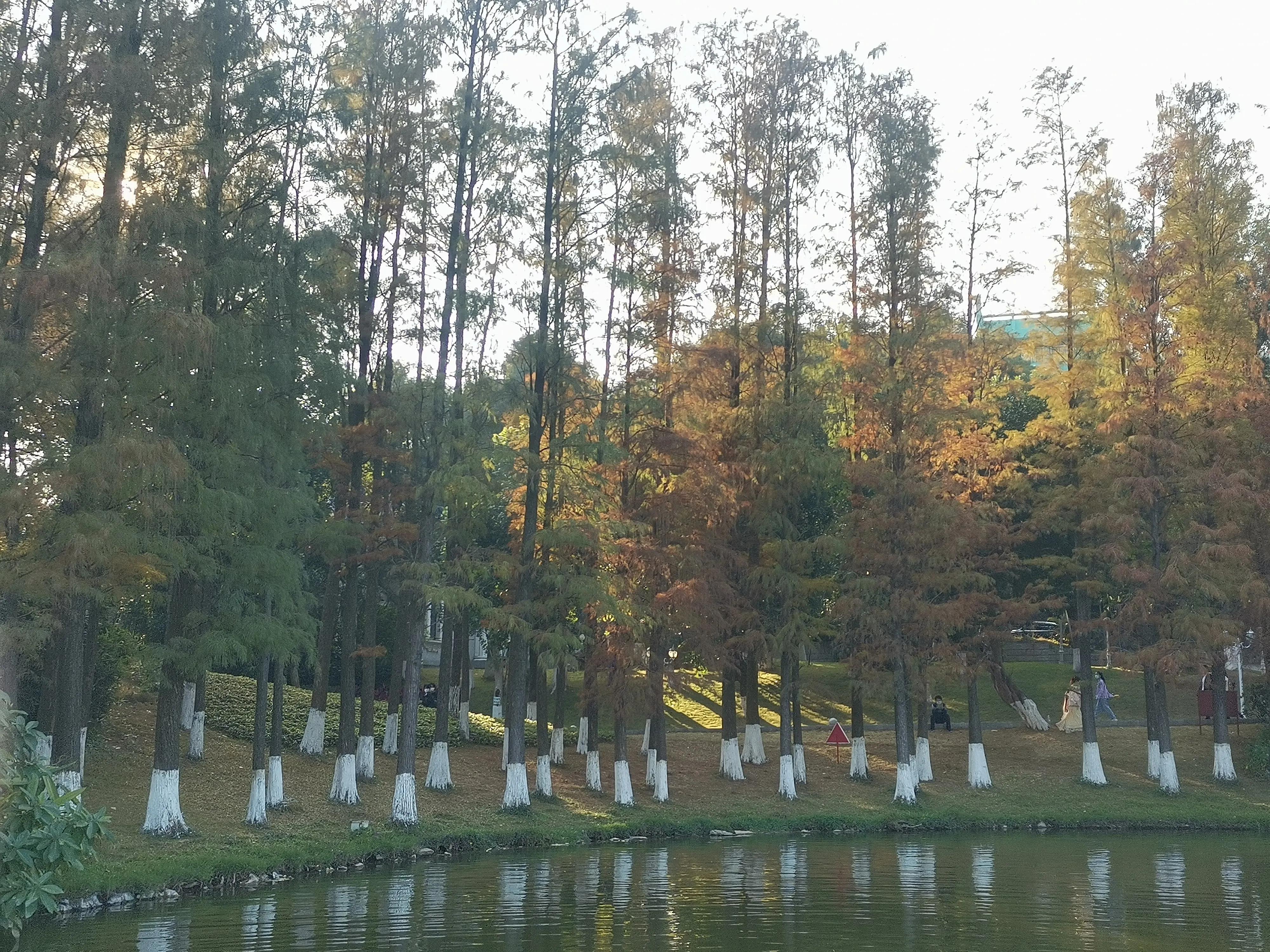 偏见会影响情绪吗,情绪和认知水平会影响你什么