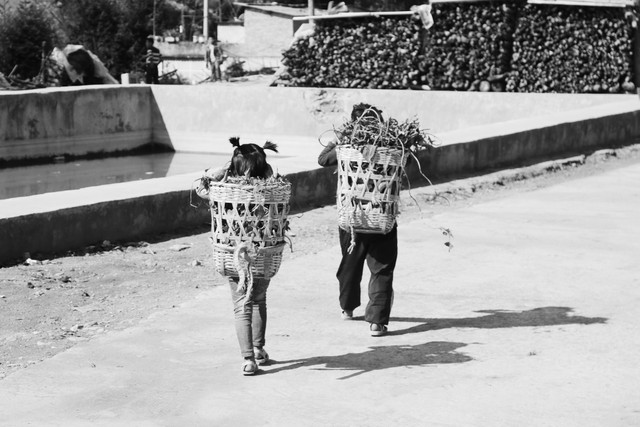 小巧母亲节礼物,高难度的母亲节礼物